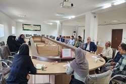 برگزاری کمیته برون بخشی روز جهانی و هفته ملی سالمند در شهرستان ماسال