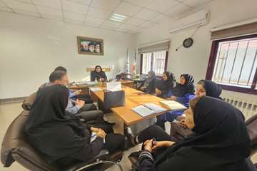 کمیته ی درونبخشی بحران آنفولانزا